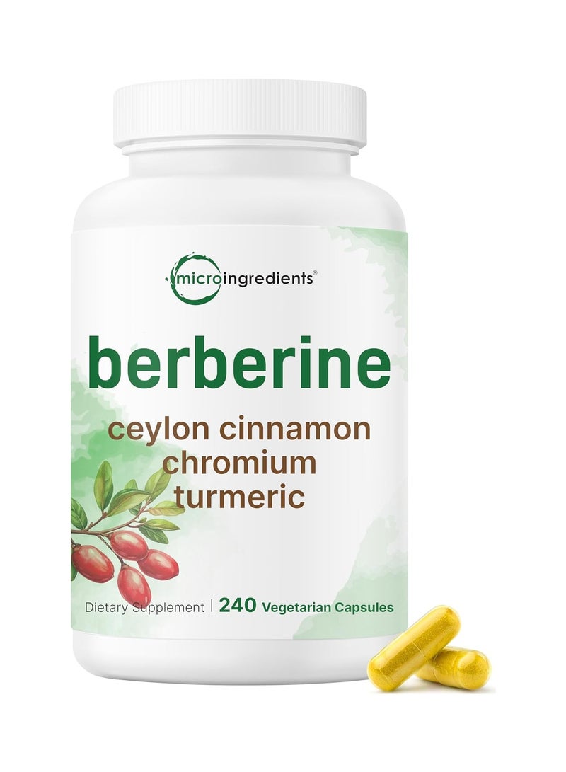Micro Ingredients Berberine with Ceylon Cinnamon, Chromium, & Turmeric, 240 Veggie Capsules | Berberine HCl Supplement + Turmeric Root & Cinnamon Bark Extract | Non-GMO, Gluten Free - Image 1